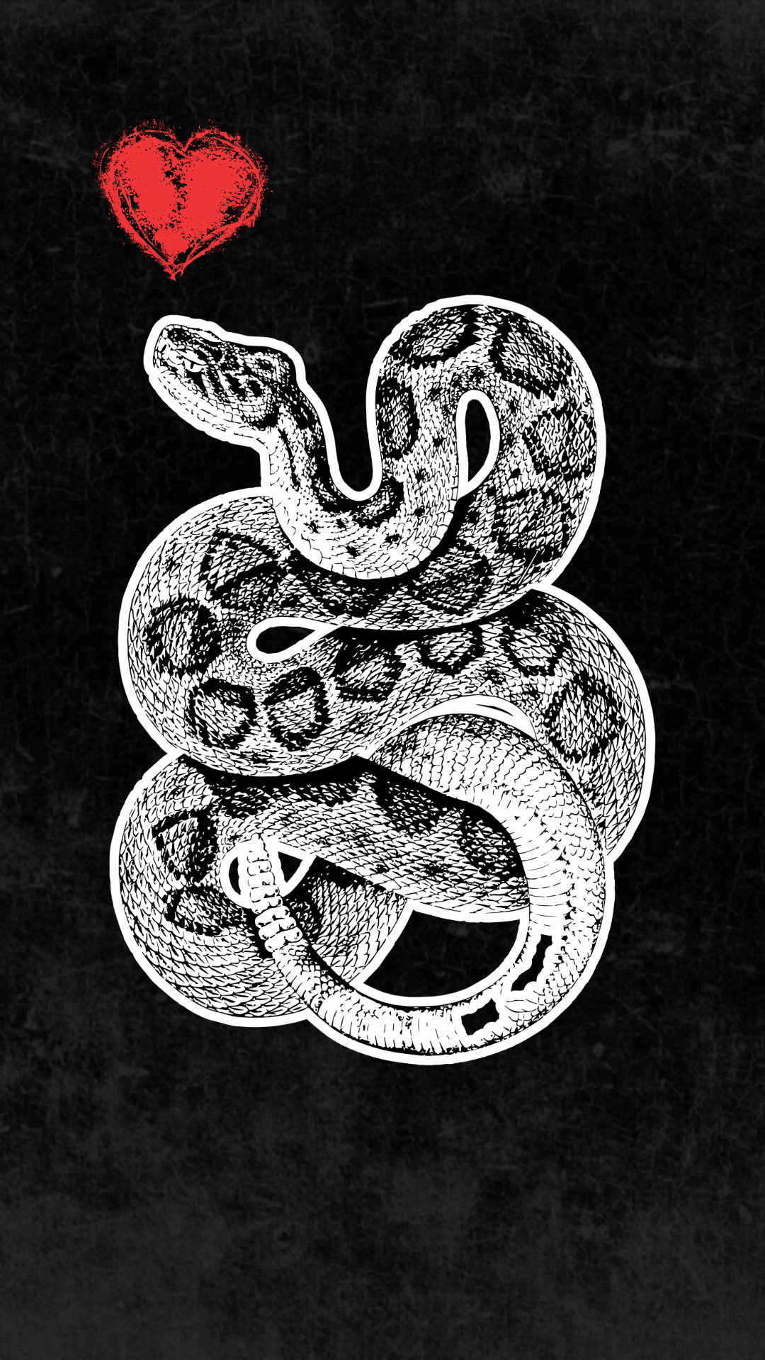 Medusa Was Never the Villain